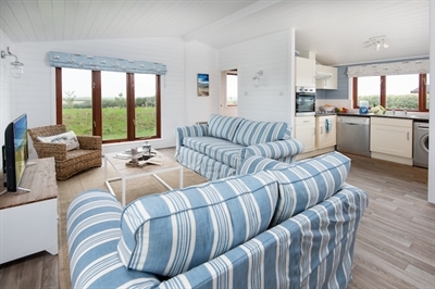 A living room with blue and white striped couches

AI-generated content may be incorrect.